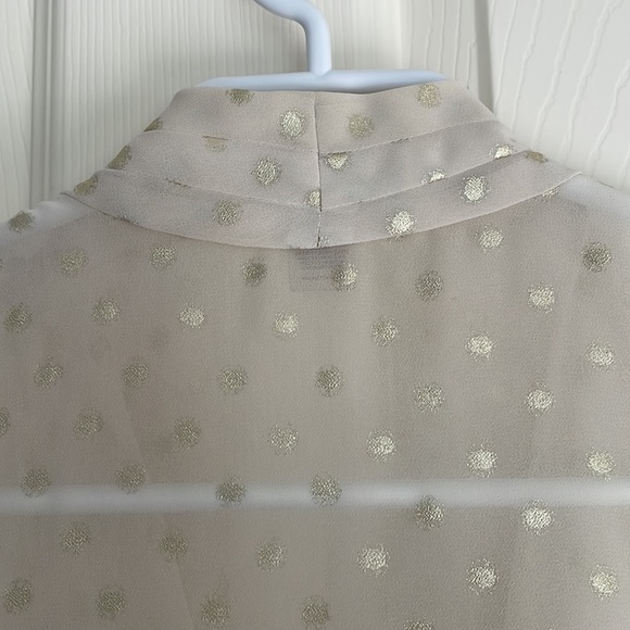 Ann Taylor Loft Sheer Sleeveless blouse XS - Picture 5 of 5